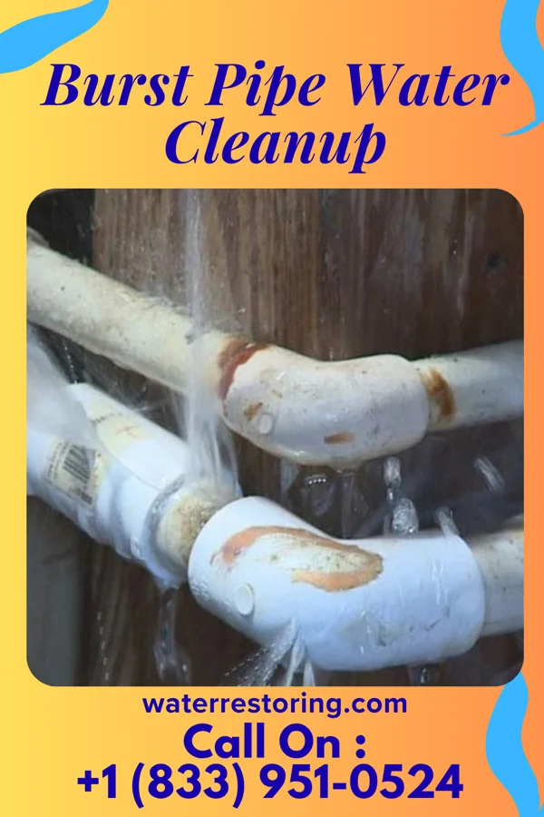 Burst Pipe Water Cleanup in Bassett, IA